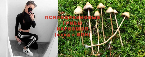 винт Коряжма
