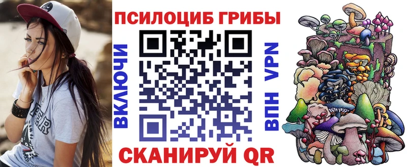 Псилоцибиновые грибы Cubensis Моздок