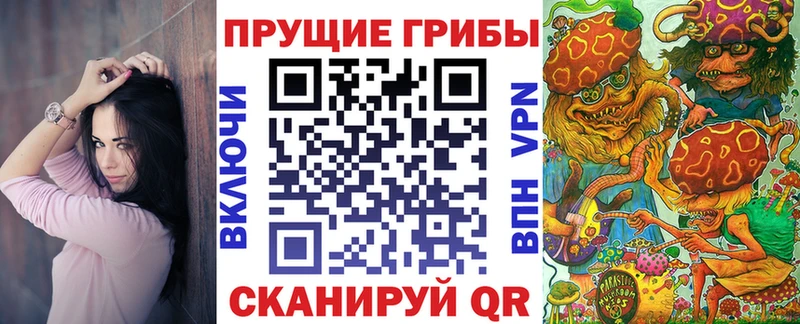 Купить где  Моздок  Псилоцибиновые грибы Cubensis 